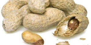 Shelled Peanuts