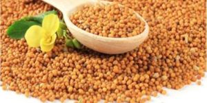 Yellow Mustard Seeds