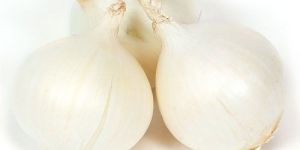 Fresh White Onion