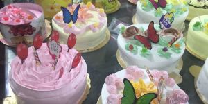 Frozen Birthday Cakes