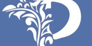 Dynamic Logo Designing Service