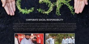 Poster Designing Service