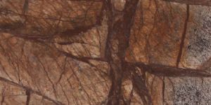 Rainforest Brown Granite