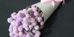 Baby Pink Dried Flowers Bunch