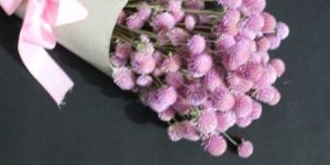 Pink Dried Flowers Bunch