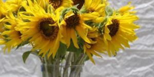 Sunflowers Bunch