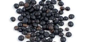 Black Lentils