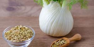 Fennel Seed Oil Co2
