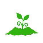 Biodegradable Mulching Film