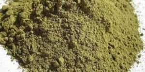 Cissus Quadrangularis Extract