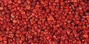 Gloriosa Superba Seeds