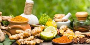 Yoga Teacher Training