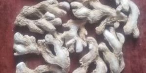 Dry Ginger