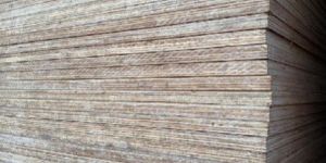 Plywood Boards