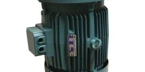 Vertical AC Motor