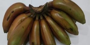 Fresh Red Poovan Banana