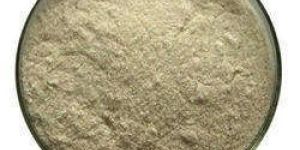 Tertiary Butyl Hydroquinone