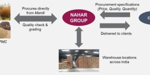 Procurement Services