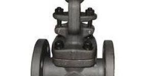 Forged Gate Valves