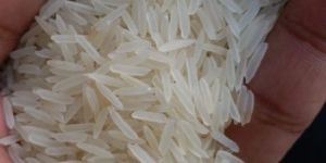 White Basmati Rice