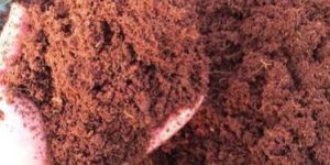 Coco Peat Powder