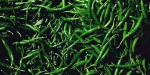 Fresh Vegetables
