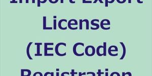 Import Export Code Registration Service