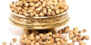 Coriander Seeds