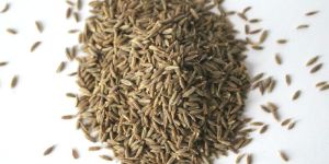 Cumin Seeds