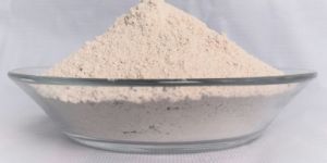 Diatomaceous Earth