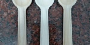 Areca Leaf Spoon