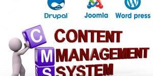CMS Web Development Service