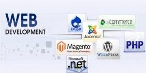 Website Development Service