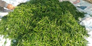 Fresh Green Chilli