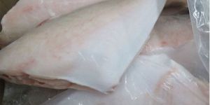 Frozen Leather Jacket Fish