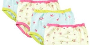 Potty Training Pant