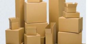 Corrugated Cartons and Trays