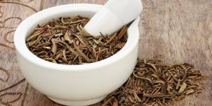 Catuba Bark Extract