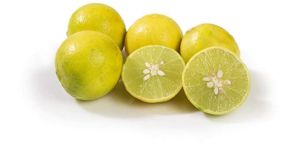 Fresh Natural Lemon