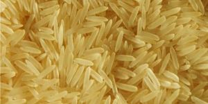 Golden Non Basmati Rice