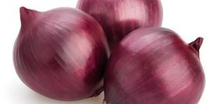 Red Onion