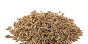 Cumin Seed