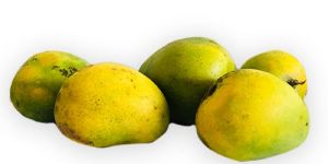 Fresh Mango