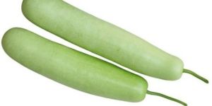 Bottle Gourd