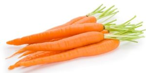 Fresh Carrot