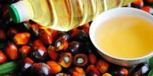 Palm Oil
