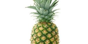 Fresh Pineapple
