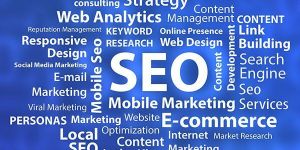 Search Engine Optimization Services