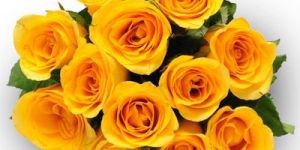 Yellow Roses Bouquet