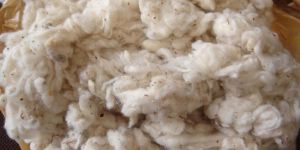 Dropping Cotton Waste